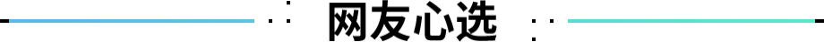 网友心选